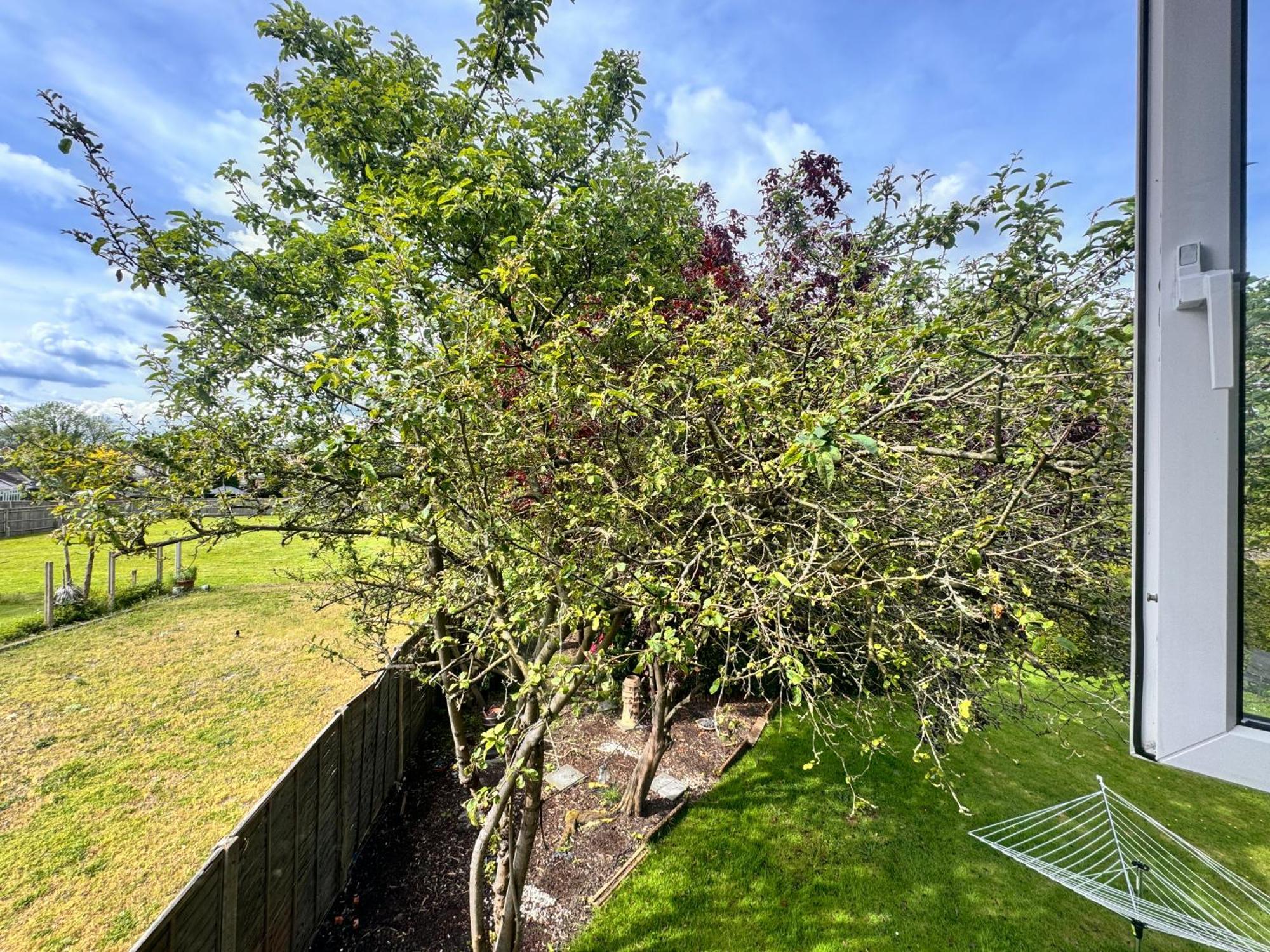 High Trees Guest House Gatwick Horley Luaran gambar